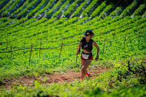 BIB: 
                            <button type="button" onclick="openModal(19162854)" class="btn btn-primary btn-sm float-right btn-popup" data-toggle="modal" data-target=".modal-high-quality">
                        <i class="fas fa-shopping-cart"></i> Add to Cart
                    </button>
                                            <button type="button" onclick="isThisMe(19162854, true)" class="btn btn-success btn-sm float-right btn-popup btn-isme hidden" data-toggle="tooltip" data-placement="bottom" title="นี่คือรูปของคุณใช่ไหม คลิกที่นี่เพื่อเอาเข้าอัลบั้ม">
                        <i class="fas fa-plus"></i> Add to album
                    </button>
                    <button type="button" onclick="isThisMe(19162854, false)" class="btn btn-warning btn-sm float-right btn-popup btn-isnotme hidden">
                        <i class="fas fa-ban"></i> Remove from album
                    </button>